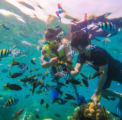 pulau harapan-trippulauseribu.com (41)